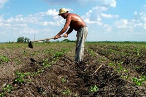 Din 1 martie, fermierii pot cere plăţile compensatorii pentru terenurile agricole utilizate